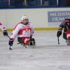 zdjęcie nr 97