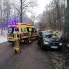 zdjęcie nr 10