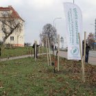 zdjęcie nr 10