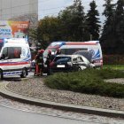 zdjęcie nr 13