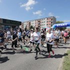 zdjęcie nr 240