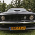 Fotka nr 3 z 63