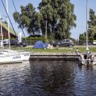 zdjęcie nr 267