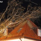 zdjęcie nr 10