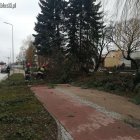 Fotka nr 5 z 7