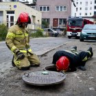 zdjęcie nr 12