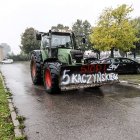 zdjęcie nr 8