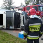 zdjęcie nr 10