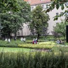 zdjęcie nr 50