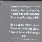 zdjęcie nr 11