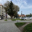 zdjęcie nr 42