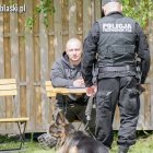zdjęcie nr 30
