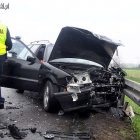zdjęcie nr 11