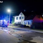zdjęcie nr 8