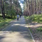 zdjęcie nr 37