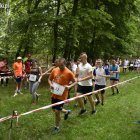 zdjęcie nr 79