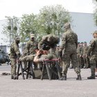 zdjęcie nr 32