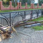 zdjęcie nr 8