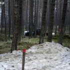 zdjęcie nr 15