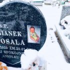 zdjęcie nr 18