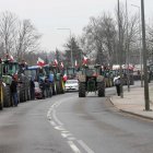 zdjęcie nr 103