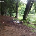  PZW w Elblągu
