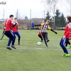 zdjęcie nr 35