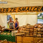 zdjęcie nr 7