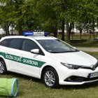 zdjęcie nr 14