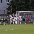 zdjęcie nr 100