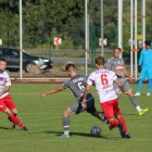 zdjęcie nr 8
