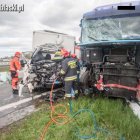 zdjęcie nr 17