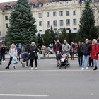 zdjęcie nr 92