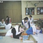 zdjęcie nr 14