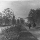 zdjęcie nr 12