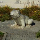 zdjęcie nr 10