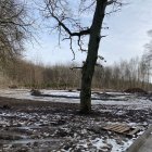 zdjęcie nr 31