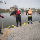 Fotka nr 5 z 47