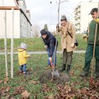zdjęcie nr 43