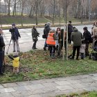zdjęcie nr 35