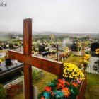 zdjęcie nr 21