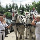 zdjęcie nr 142
