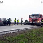zdjęcie nr 12