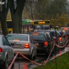 zdjęcie nr 9