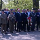 zdjęcie nr 11
