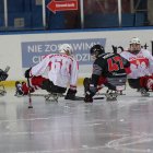 zdjęcie nr 122