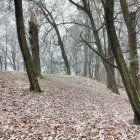 zdjęcie nr 30