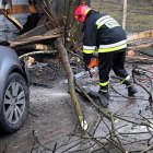 zdjęcie nr 17
