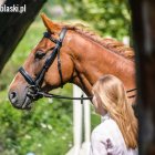 zdjęcie nr 34