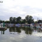 zdjęcie nr 13